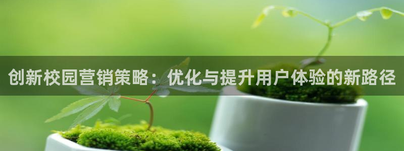 必赢网站打不开