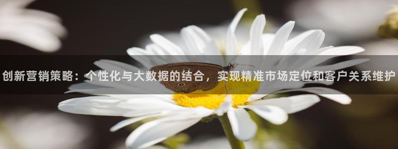 必赢手机app下载最新版安卓苹果可以用吗
