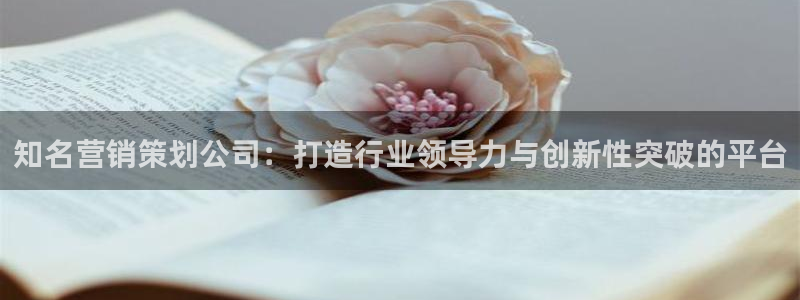 必赢手机app下载 最新版安装