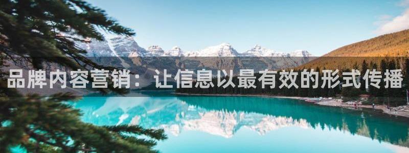 必赢亚赢网站官网下载安装