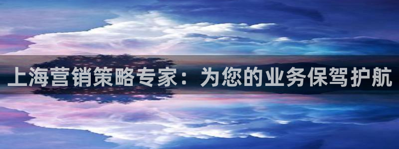 必赢链接：上海营销策略专家：为