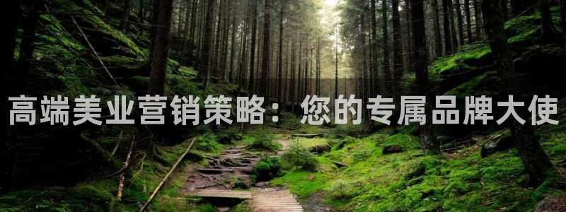 必赢下载安卓版官网：高端美业营