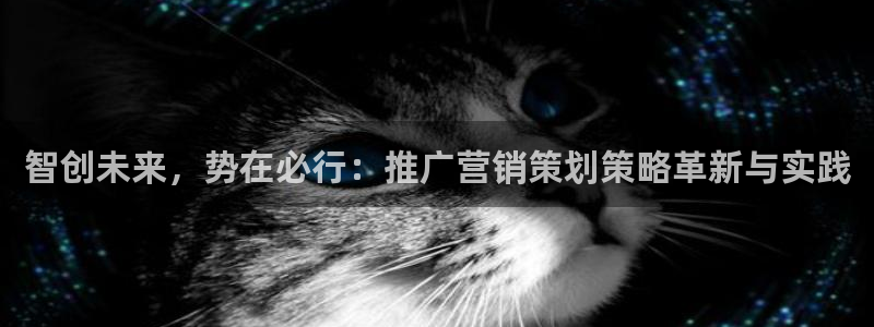 必赢网址手机主页打不开