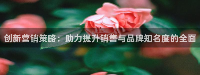 必赢3003手机网页版