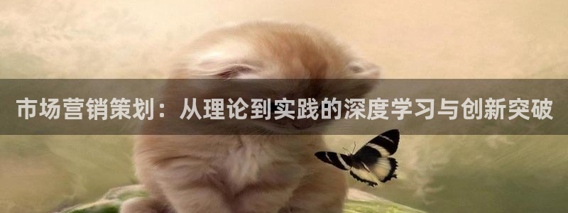 必赢棋脾：市场营销策划：从理论