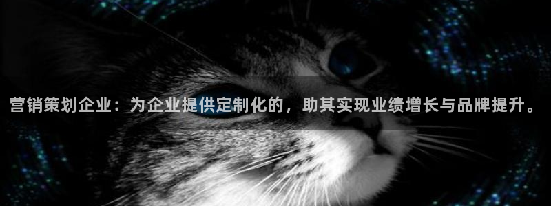 必赢官网app下载苹果版