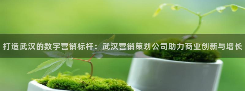 56.nt必赢官网：打造武汉的