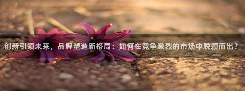 必赢官网网站入口