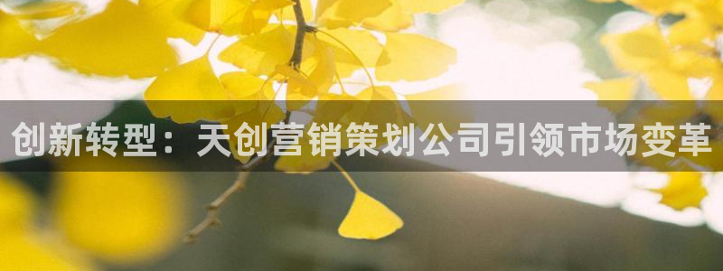 必赢网站是哪一个公司的：创新转
