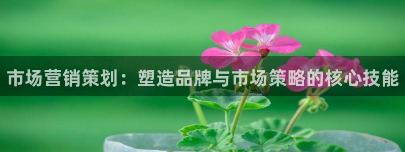 必赢官网app下载苹果版：市场