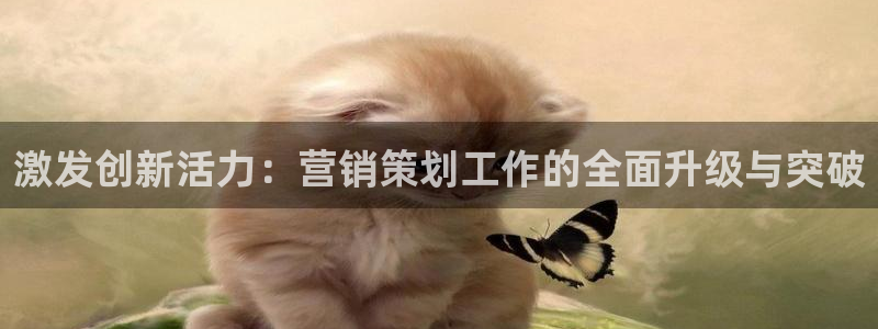 73882必赢app下载：激发