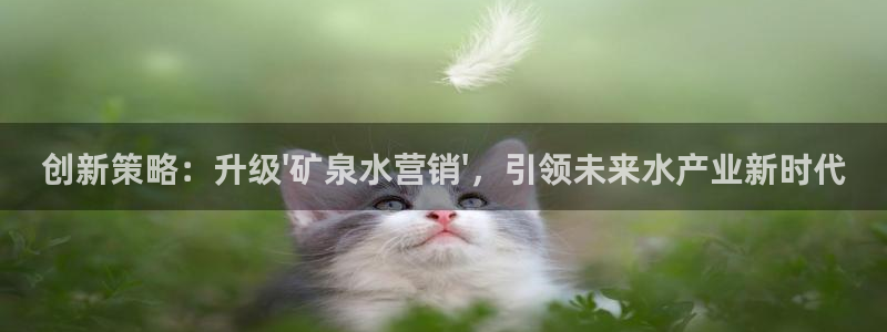 必赢网址谁知道