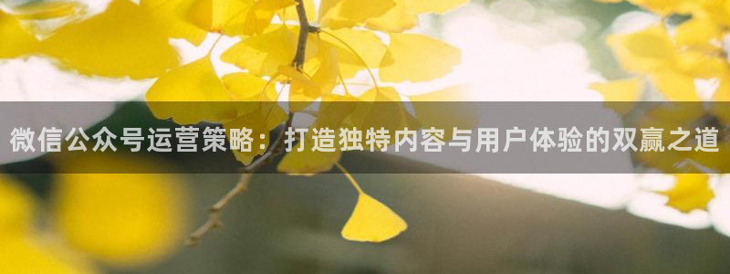 必赢官网入口下载安装