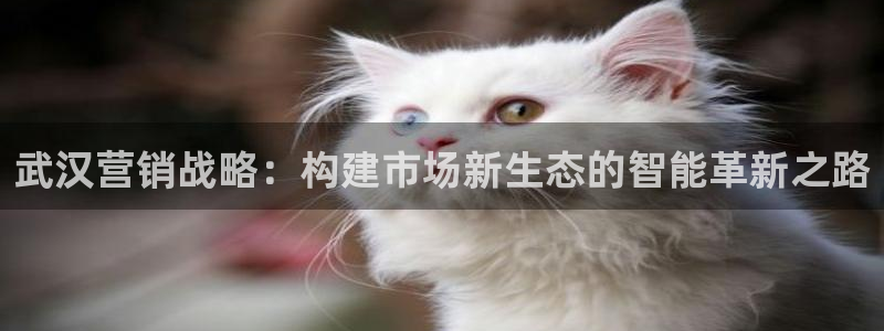 必赢72886后面字母是多少