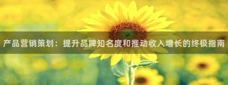 必赢官网网站：产品营销策划：提