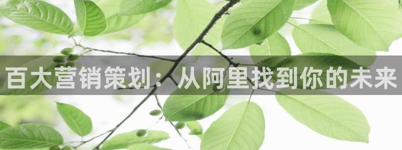 必赢官网app下载安装苹果：百