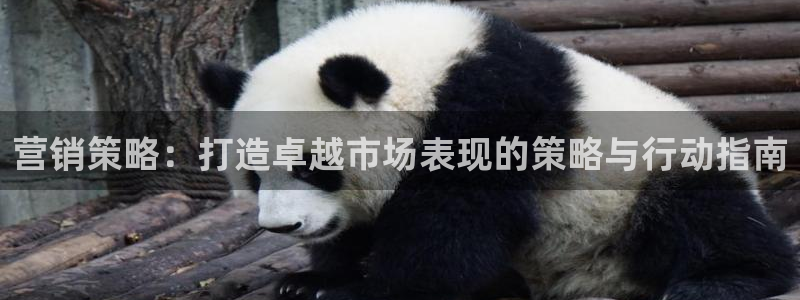 必赢官网网址多少号登录的