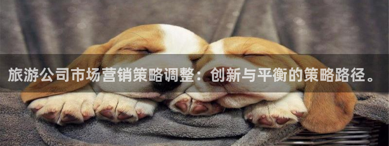 必赢72886网址多少啊