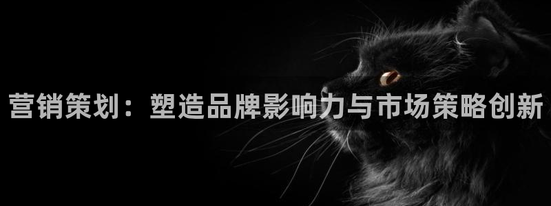 必赢活动安卓下载app：营销策